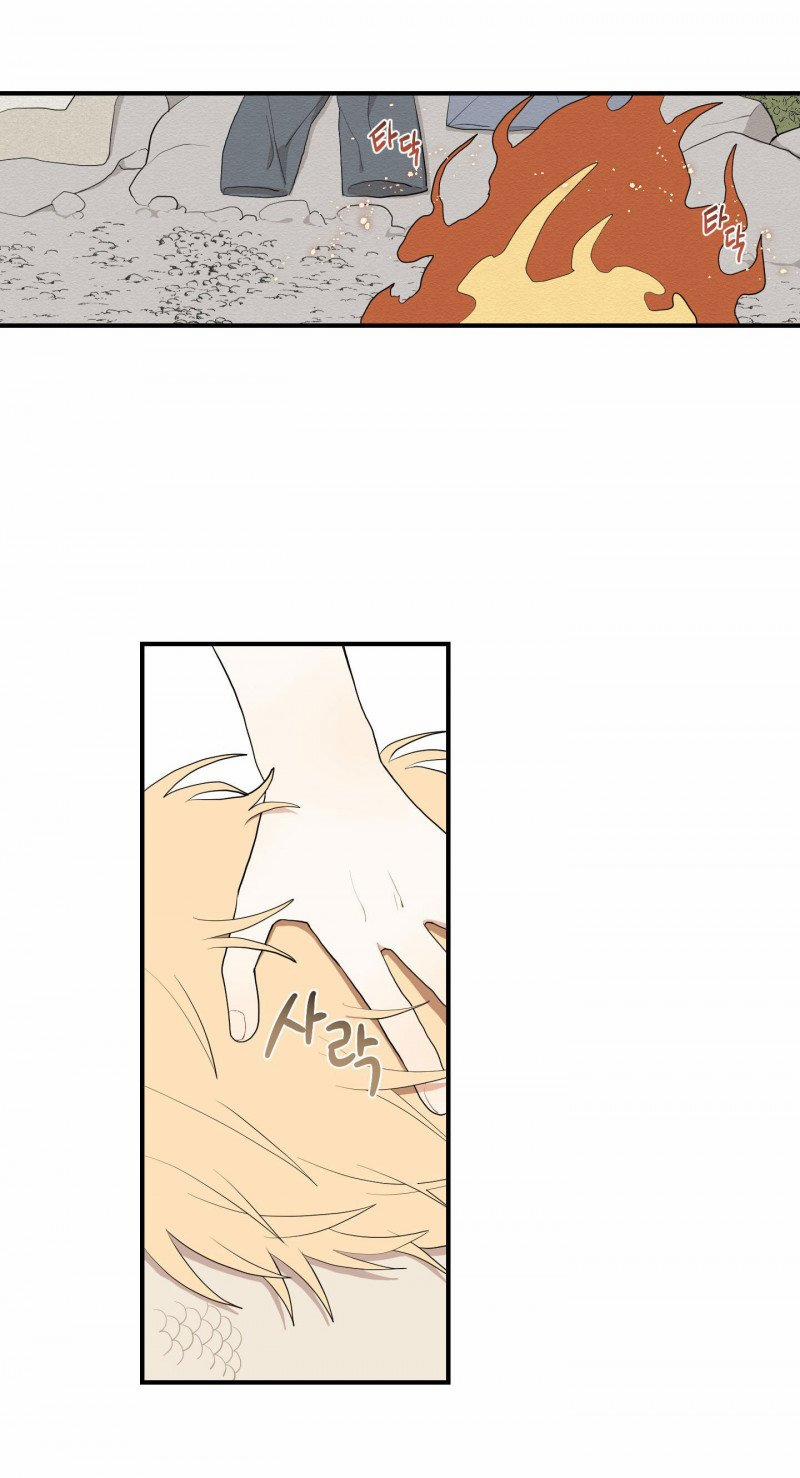 Dưới Tán Hoa Liên Kiều 21.5 trang 7