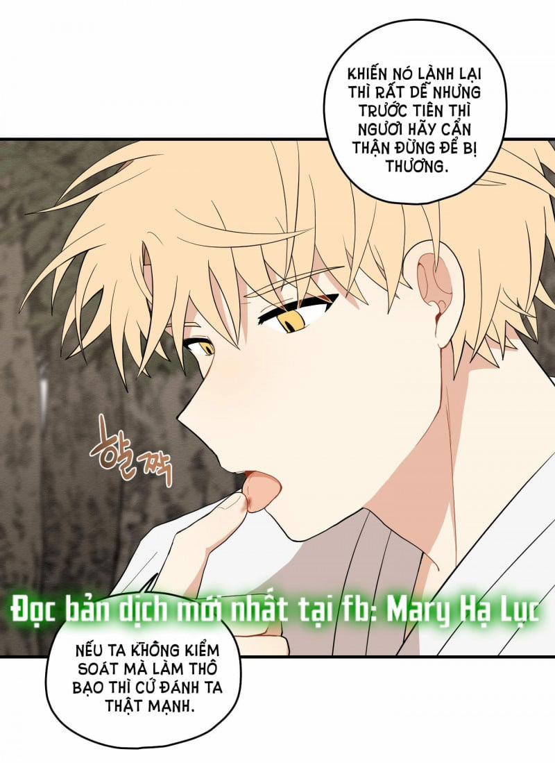 Dưới Tán Hoa Liên Kiều 21 trang 25