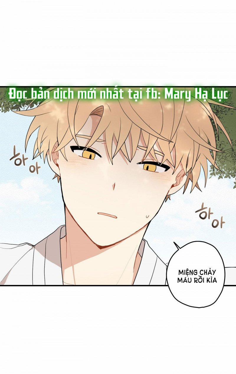 Dưới Tán Hoa Liên Kiều 21 trang 3