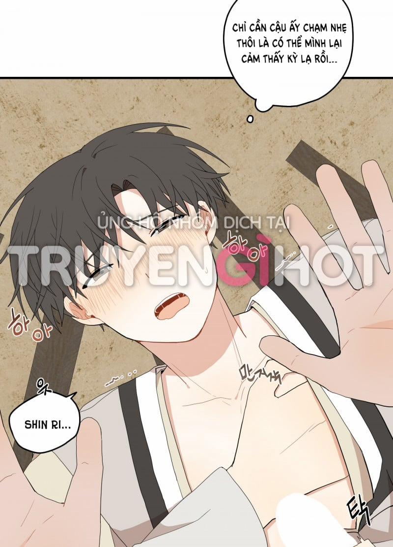 Dưới Tán Hoa Liên Kiều 22.5 trang 0