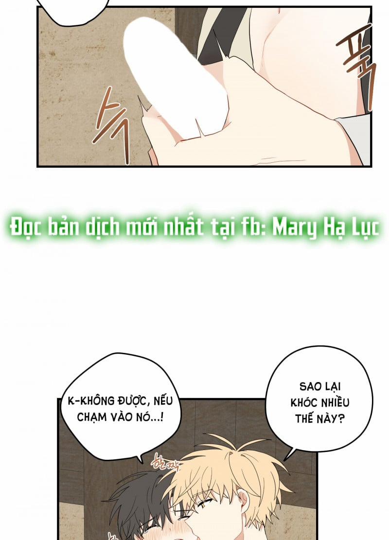 Dưới Tán Hoa Liên Kiều 22.5 trang 19