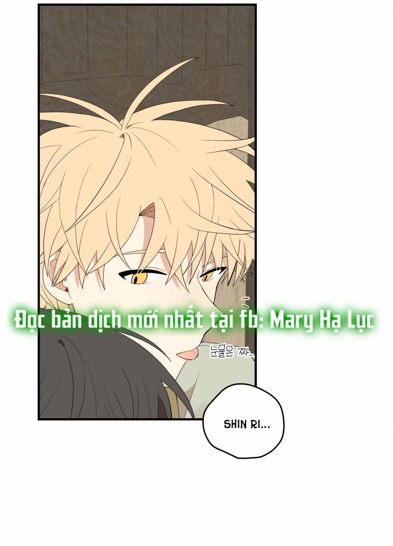 Dưới Tán Hoa Liên Kiều 22.5 trang 22