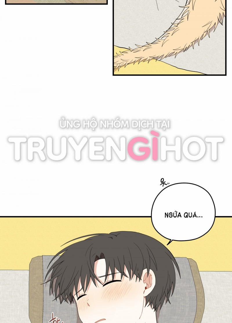 Dưới Tán Hoa Liên Kiều 22 trang 1