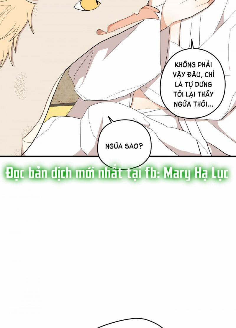 Dưới Tán Hoa Liên Kiều 22 trang 11