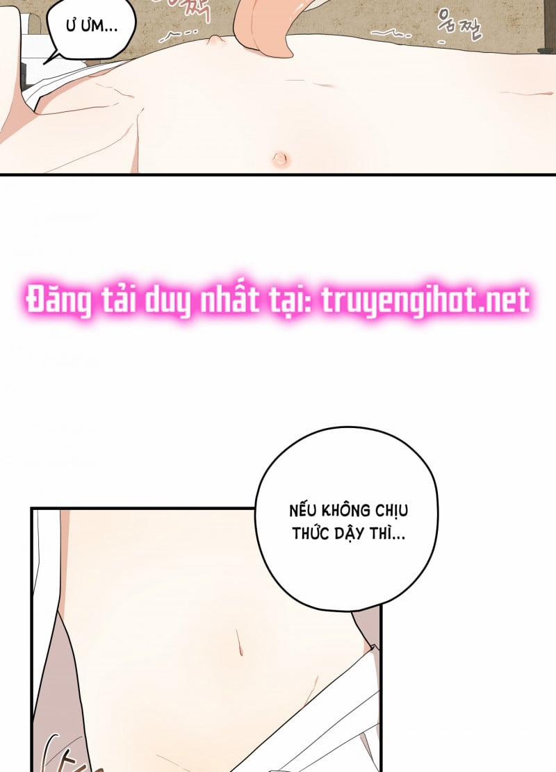 Dưới Tán Hoa Liên Kiều 22 trang 3