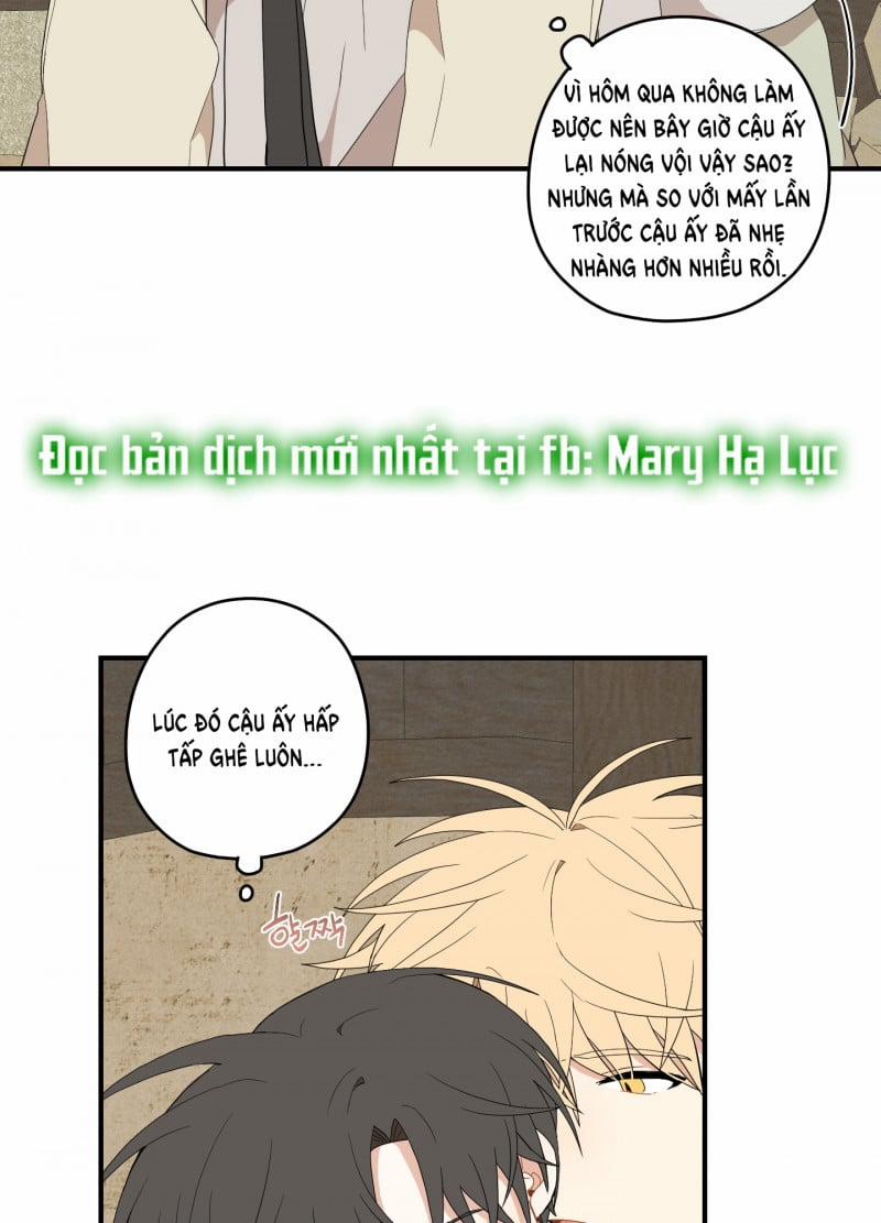 Dưới Tán Hoa Liên Kiều 22 trang 31