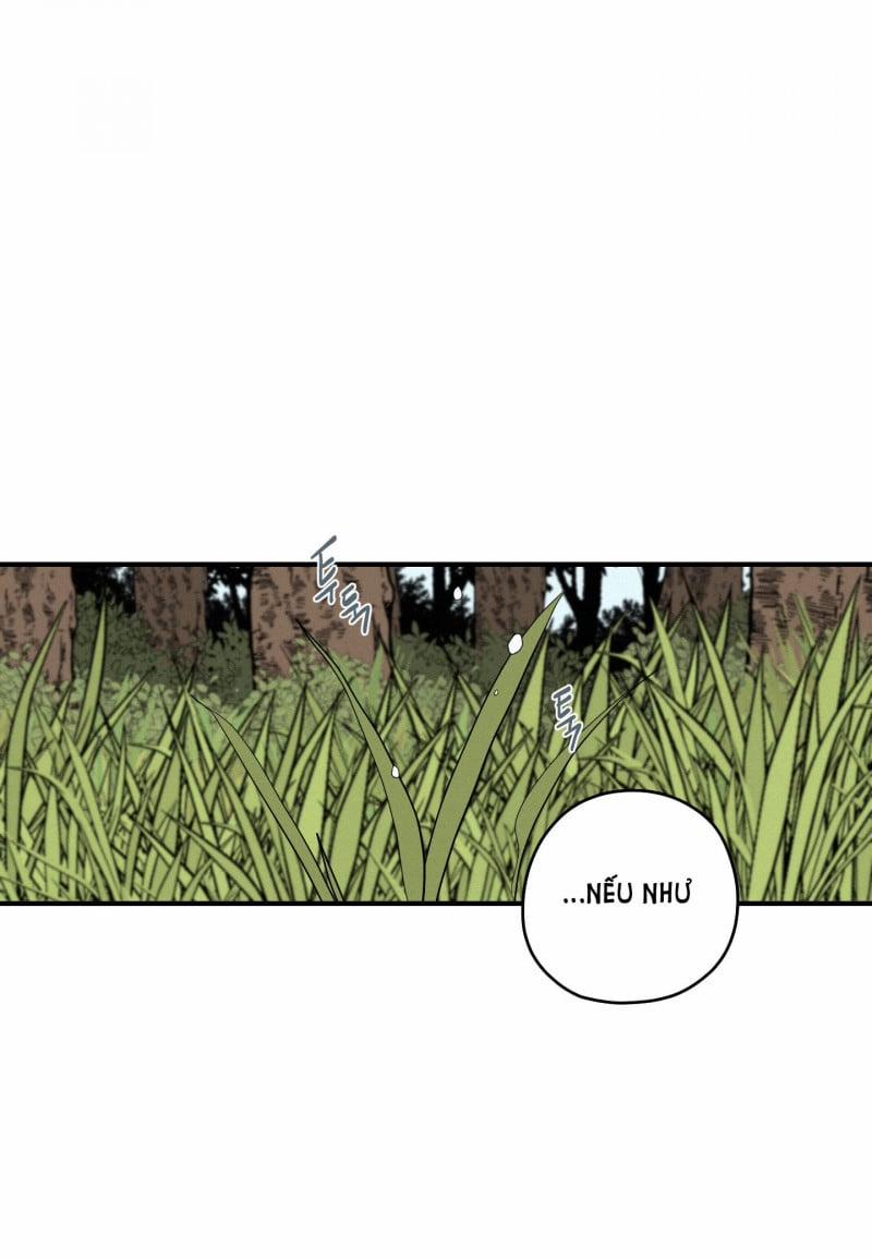 Dưới Tán Hoa Liên Kiều 24.5 trang 15