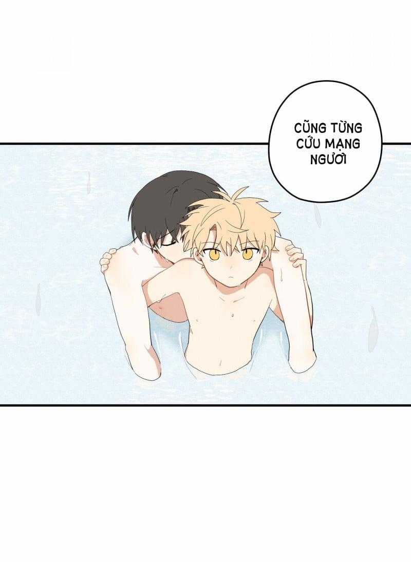 Dưới Tán Hoa Liên Kiều 24 trang 9