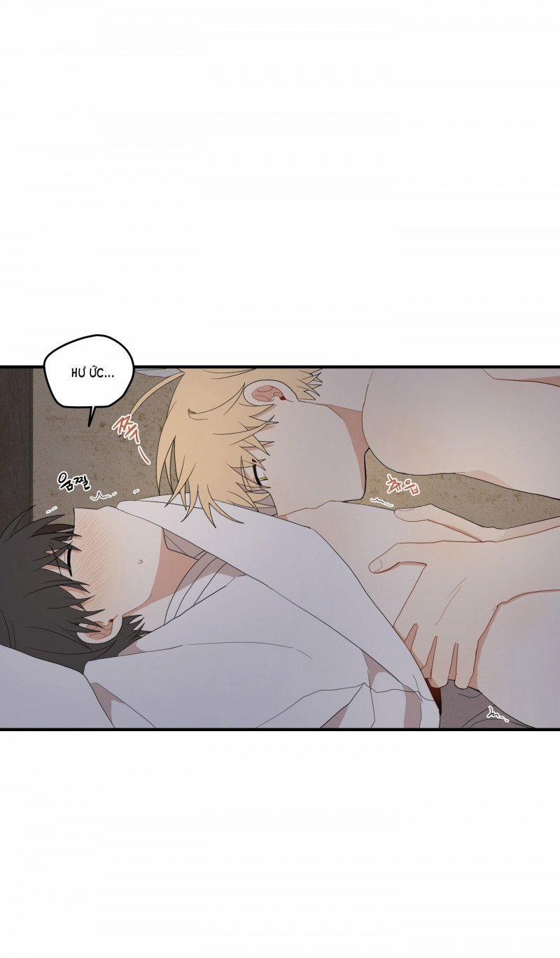 Dưới Tán Hoa Liên Kiều 25.5 trang 1