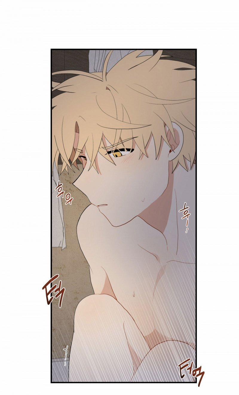 Dưới Tán Hoa Liên Kiều 25.5 trang 18