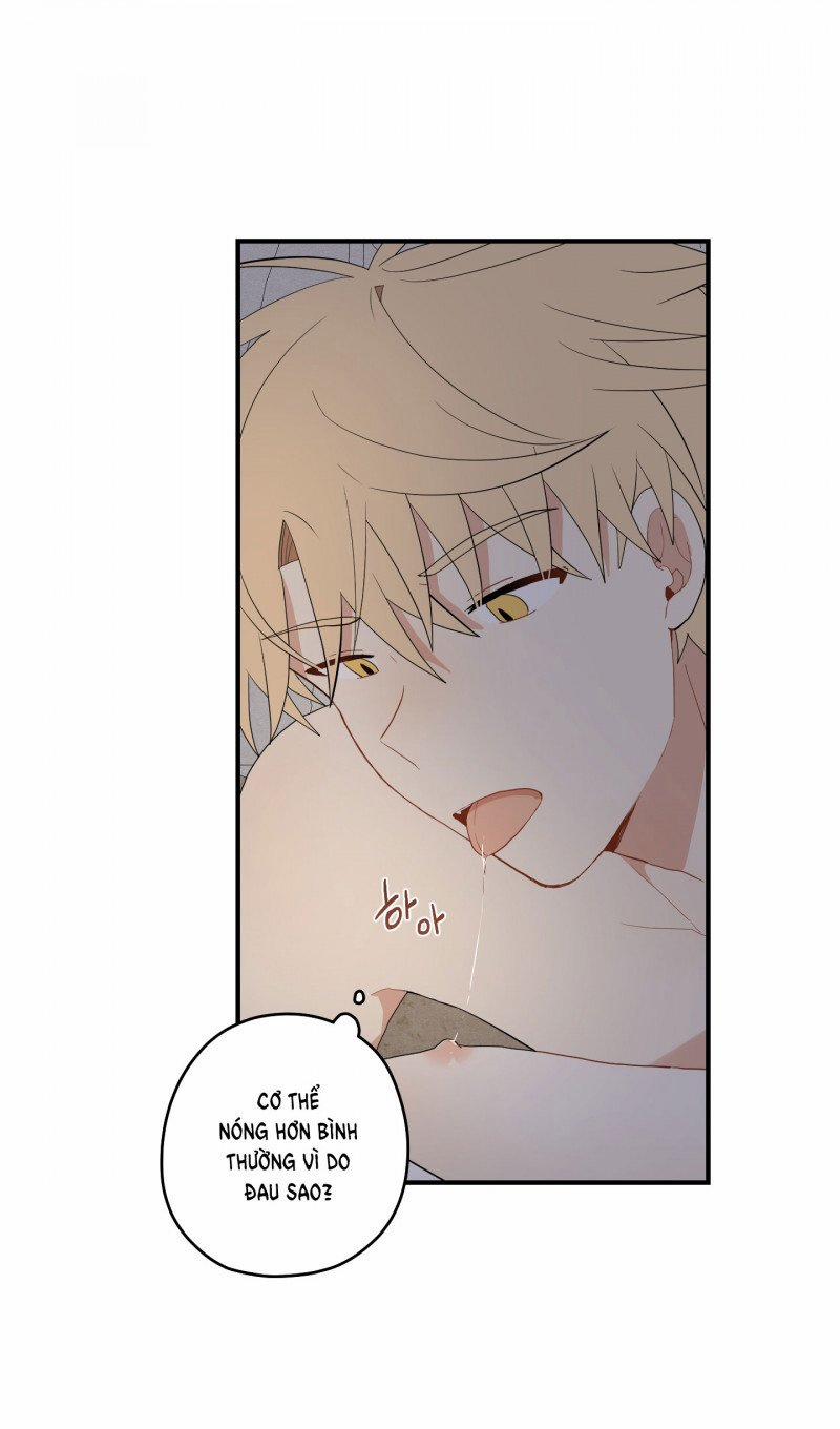 Dưới Tán Hoa Liên Kiều 25.5 trang 2