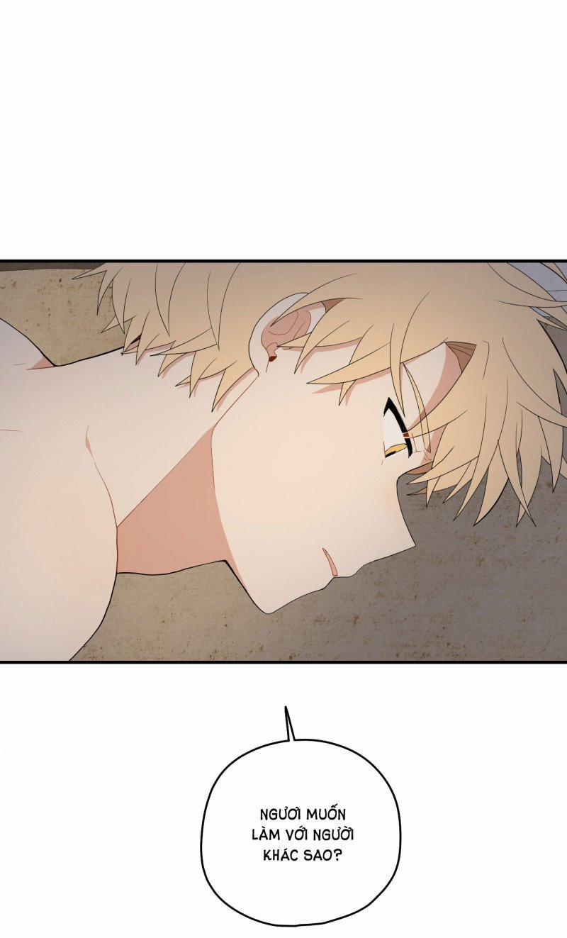 Dưới Tán Hoa Liên Kiều 25 trang 11