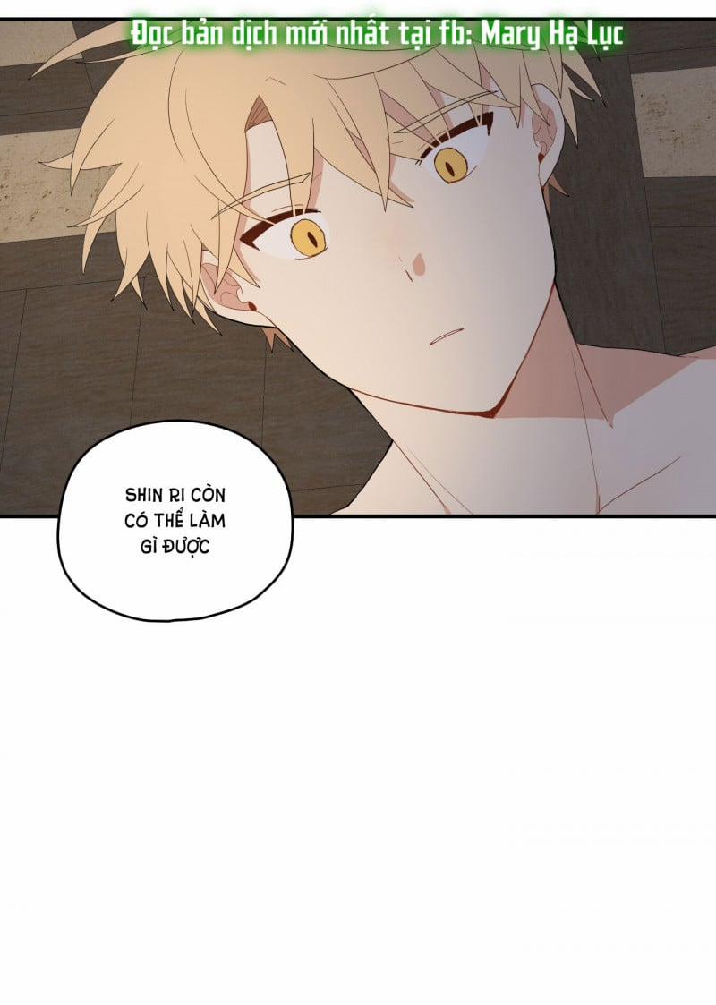 Dưới Tán Hoa Liên Kiều 25 trang 15