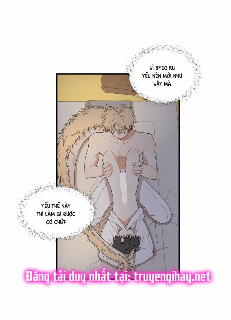 Dưới Tán Hoa Liên Kiều 26 trang 12