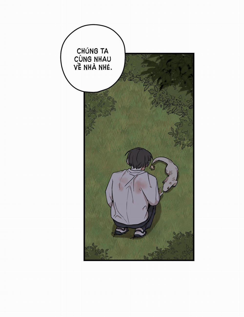 Dưới Tán Hoa Liên Kiều 28.1 trang 11