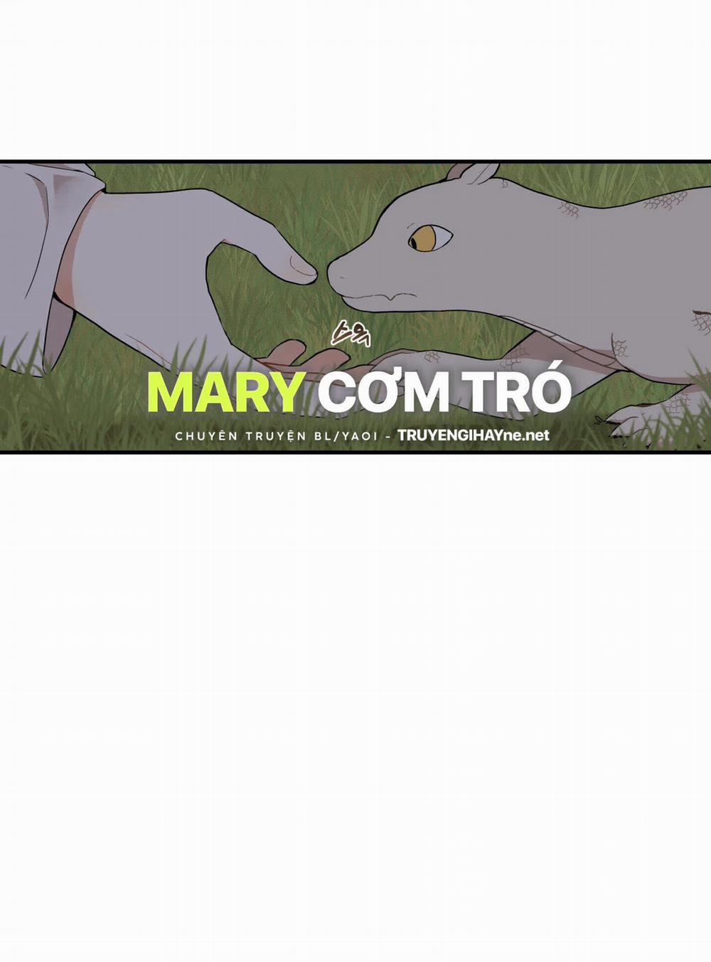 Dưới Tán Hoa Liên Kiều 28.1 trang 12