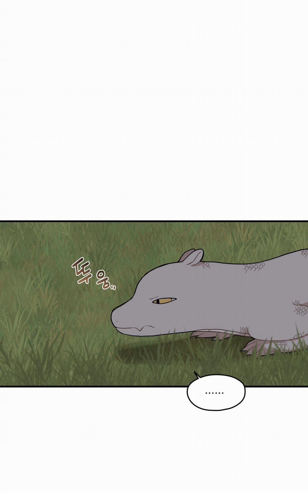 Dưới Tán Hoa Liên Kiều 28.1 trang 13