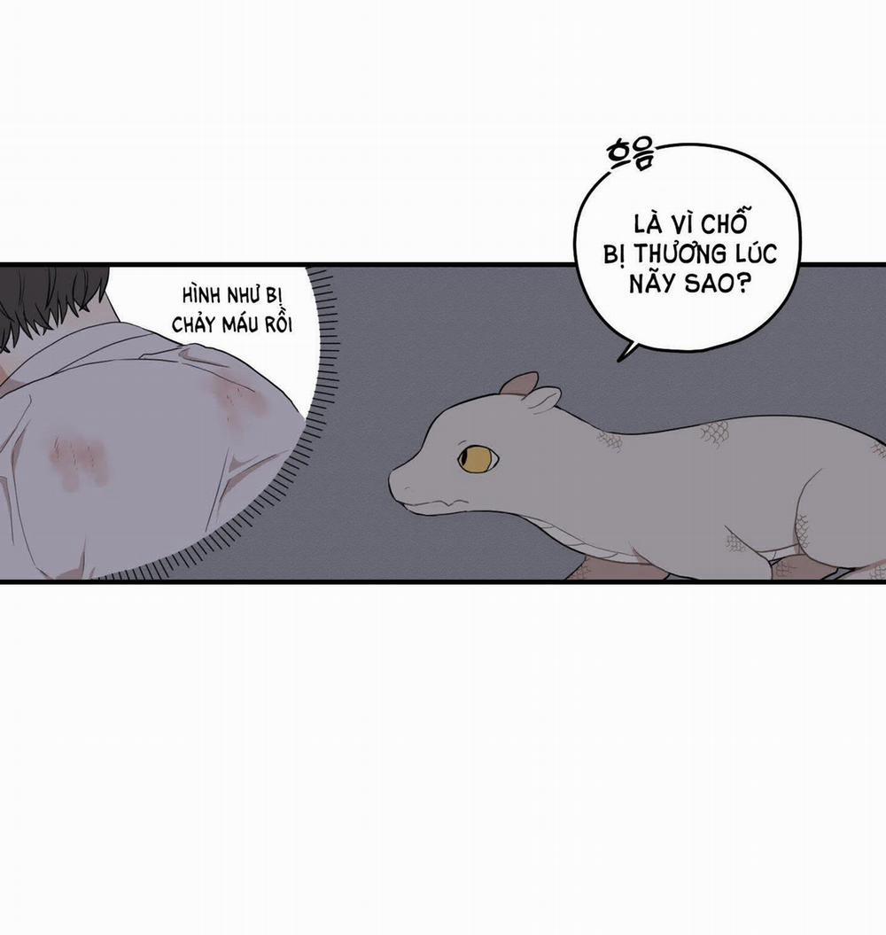 Dưới Tán Hoa Liên Kiều 28.1 trang 15