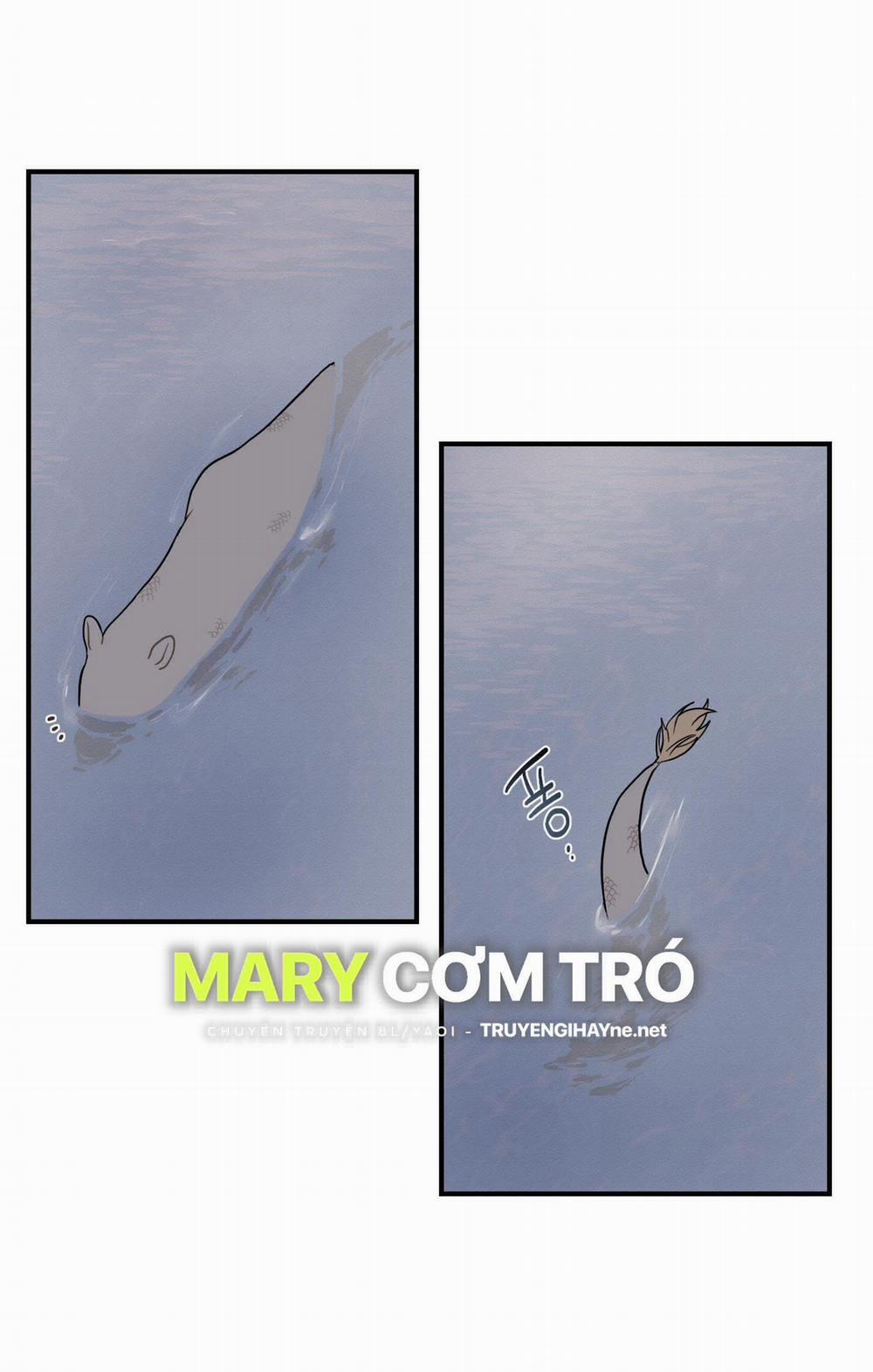 Dưới Tán Hoa Liên Kiều 28.1 trang 20