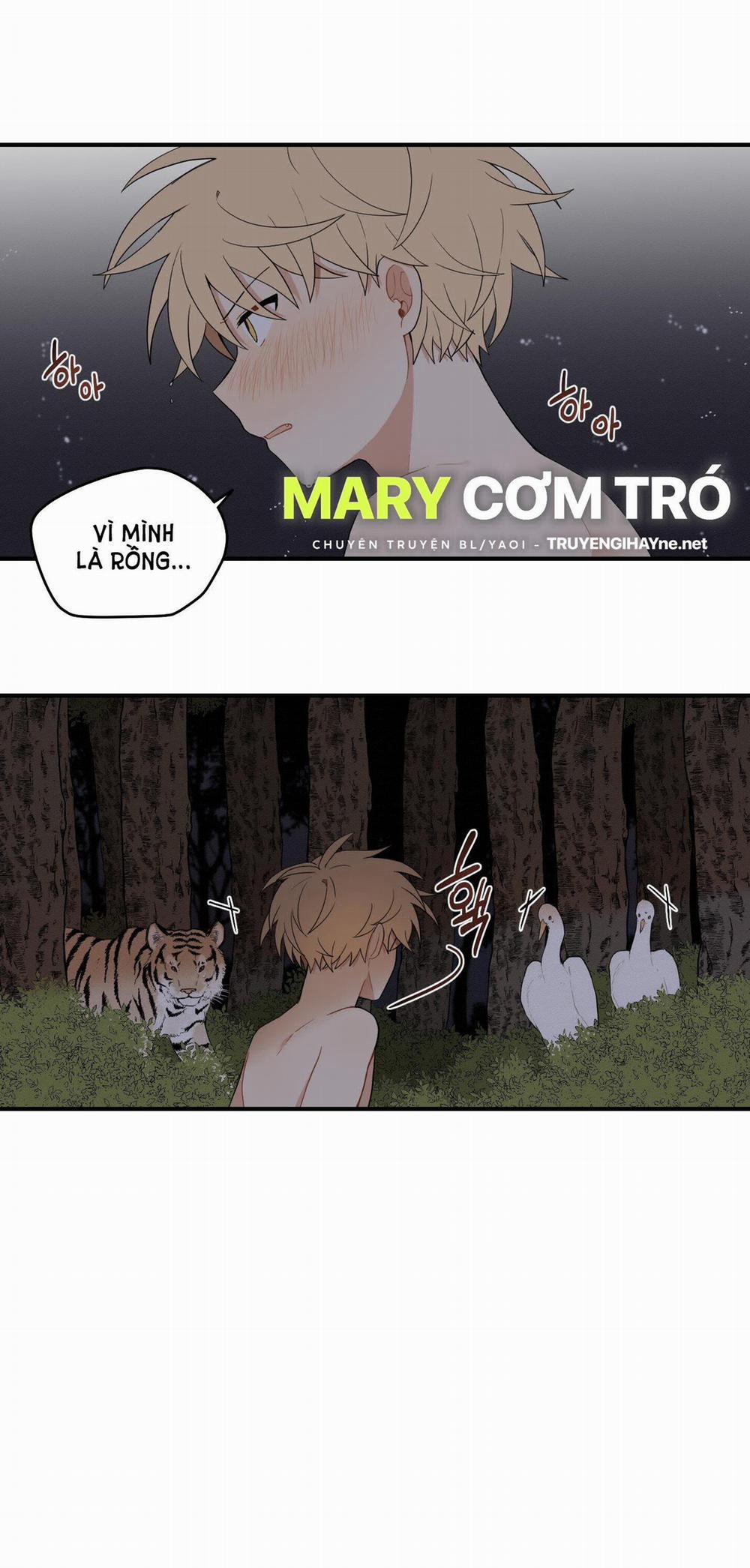 Dưới Tán Hoa Liên Kiều 28.1 trang 34