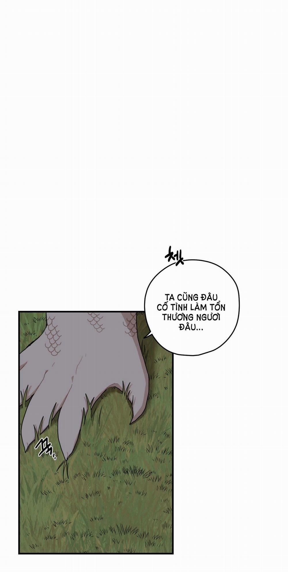 Dưới Tán Hoa Liên Kiều 28.1 trang 4