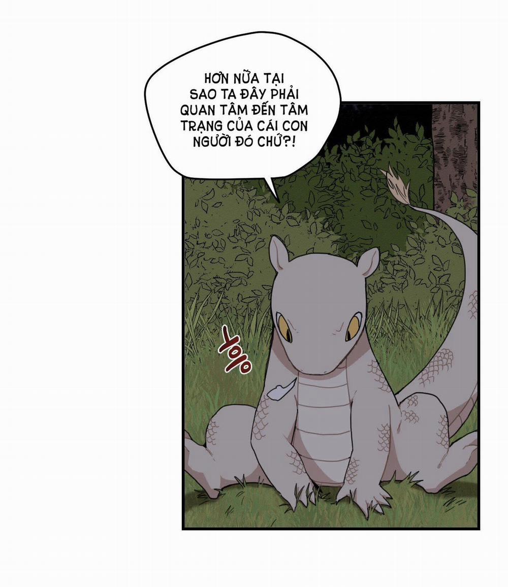 Dưới Tán Hoa Liên Kiều 28.1 trang 5