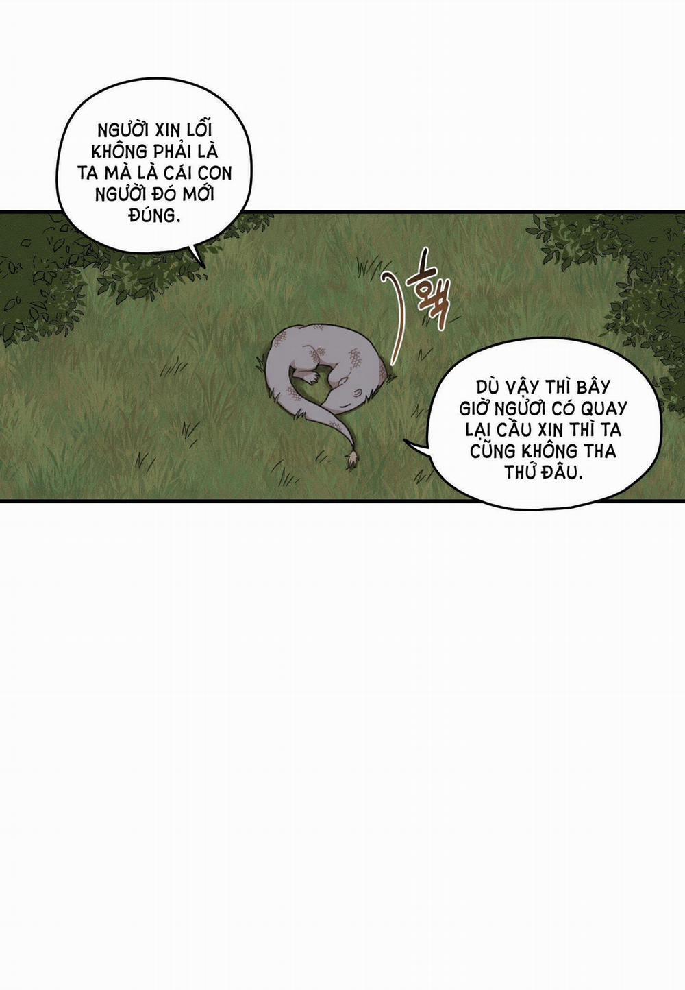 Dưới Tán Hoa Liên Kiều 28.1 trang 6