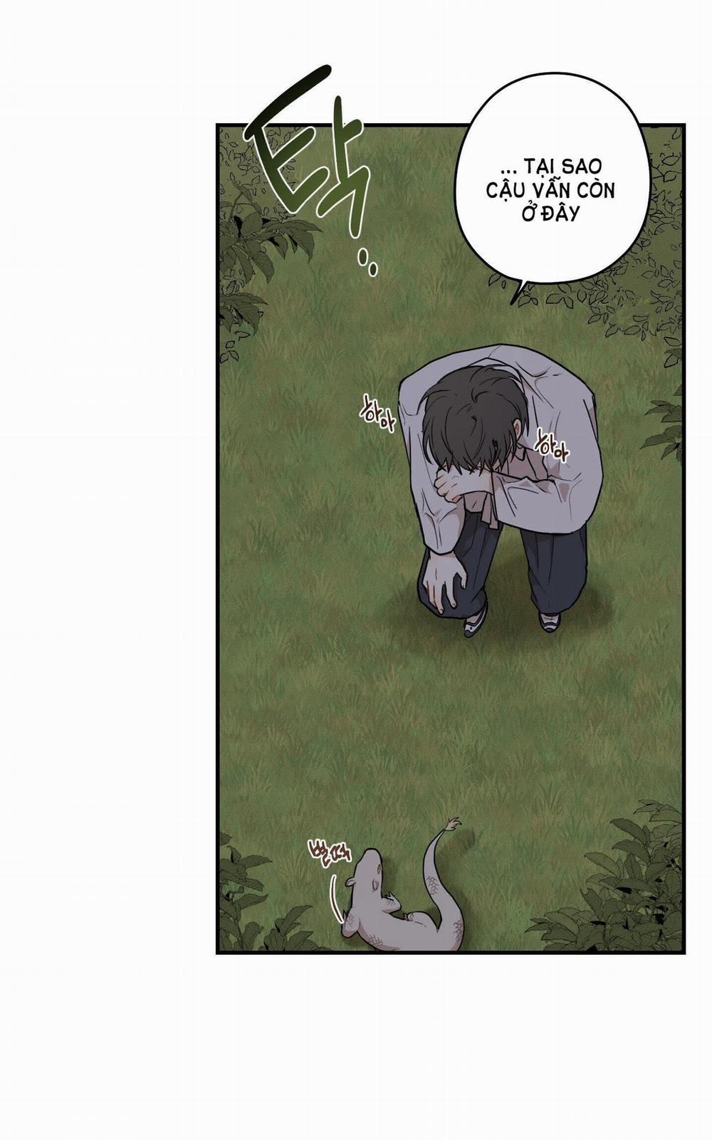 Dưới Tán Hoa Liên Kiều 28.1 trang 9