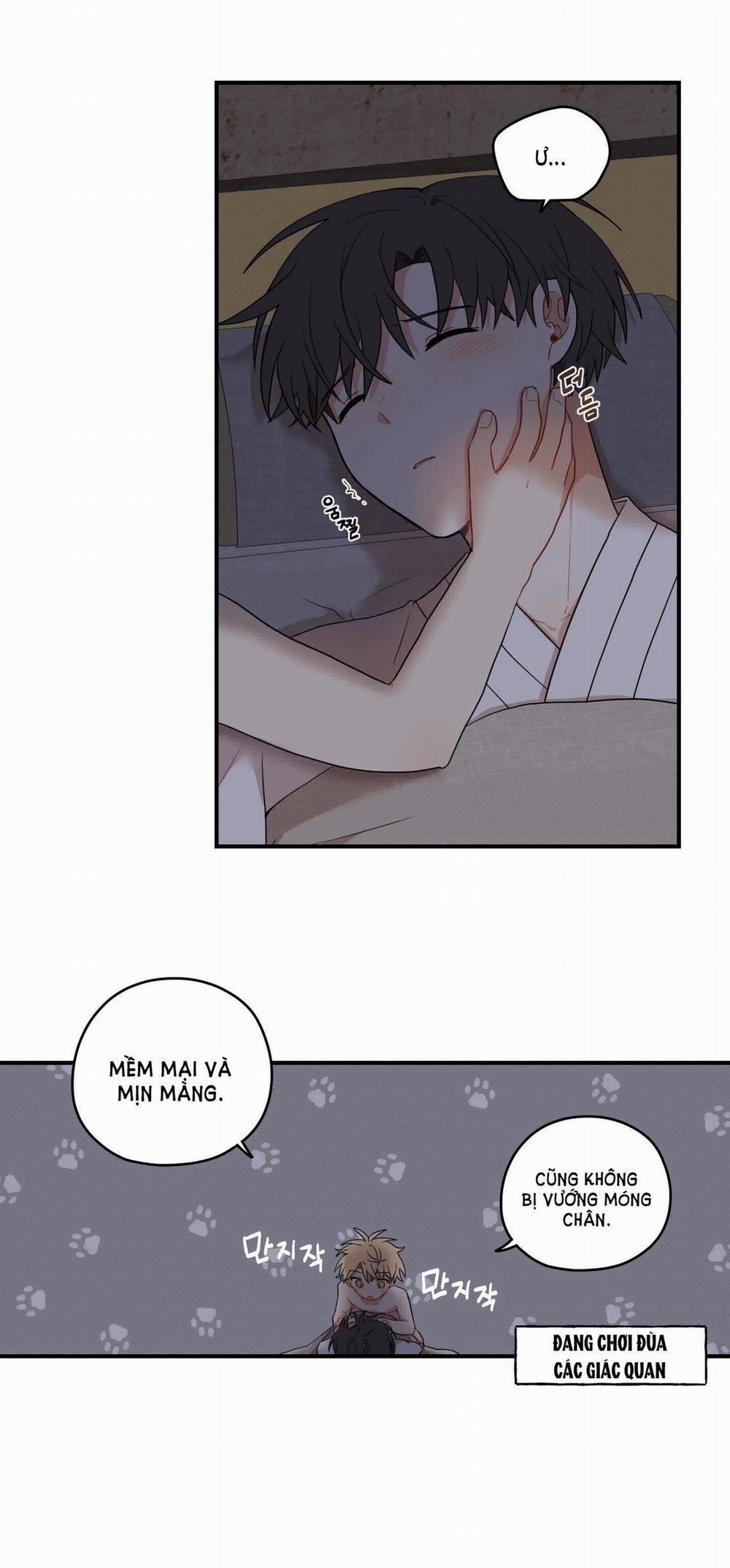 Dưới Tán Hoa Liên Kiều 28.2 trang 16