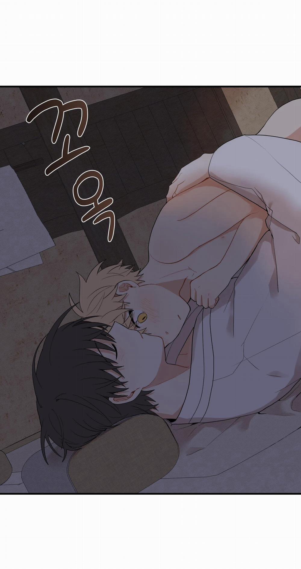 Dưới Tán Hoa Liên Kiều 28.2 trang 22