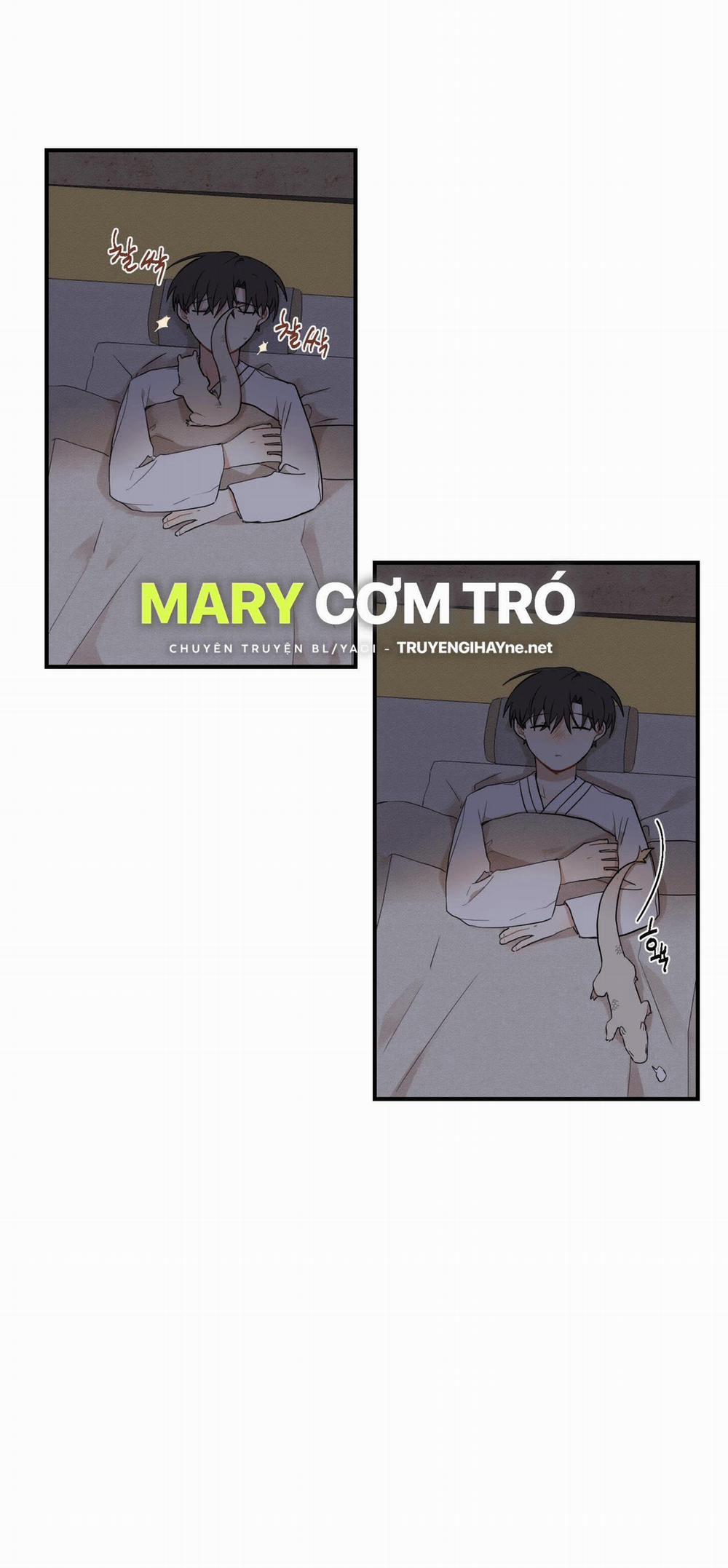 Dưới Tán Hoa Liên Kiều 28.2 trang 29