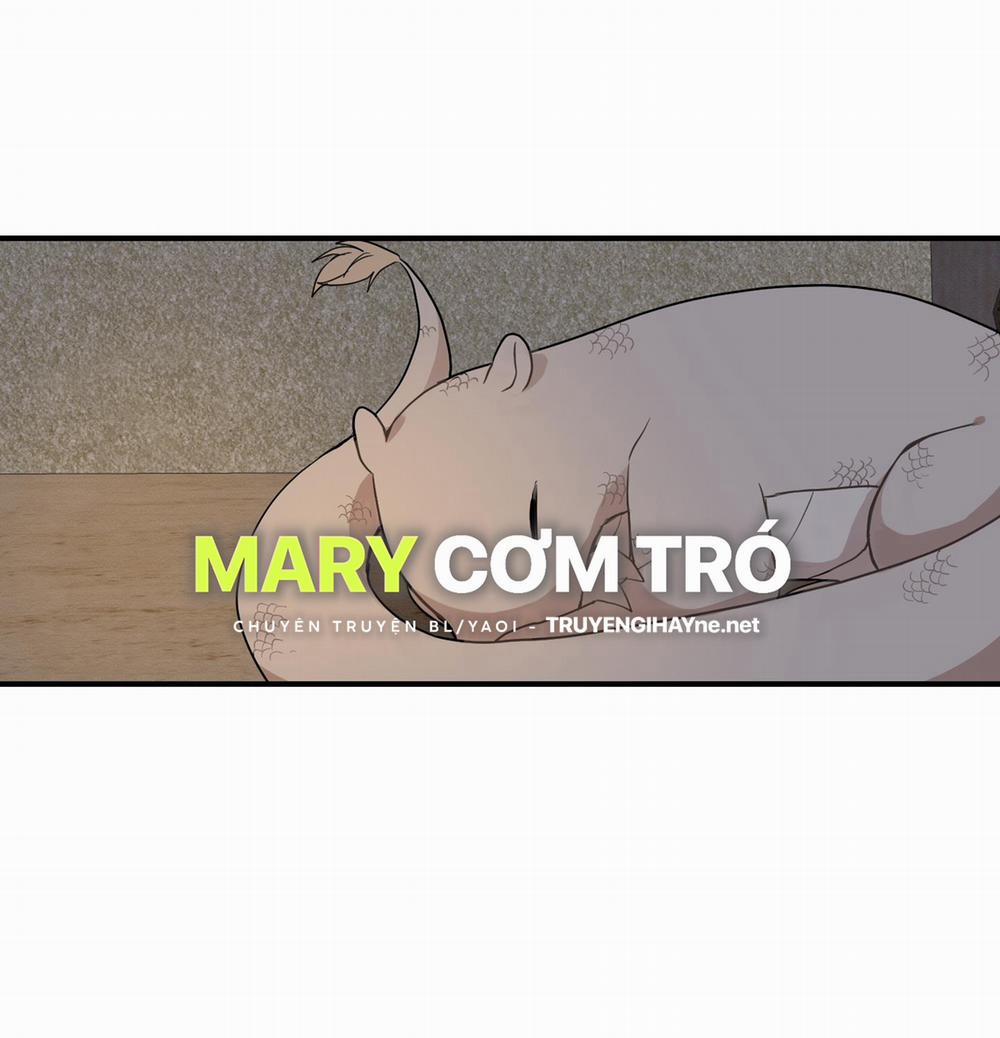 Dưới Tán Hoa Liên Kiều 28.2 trang 33