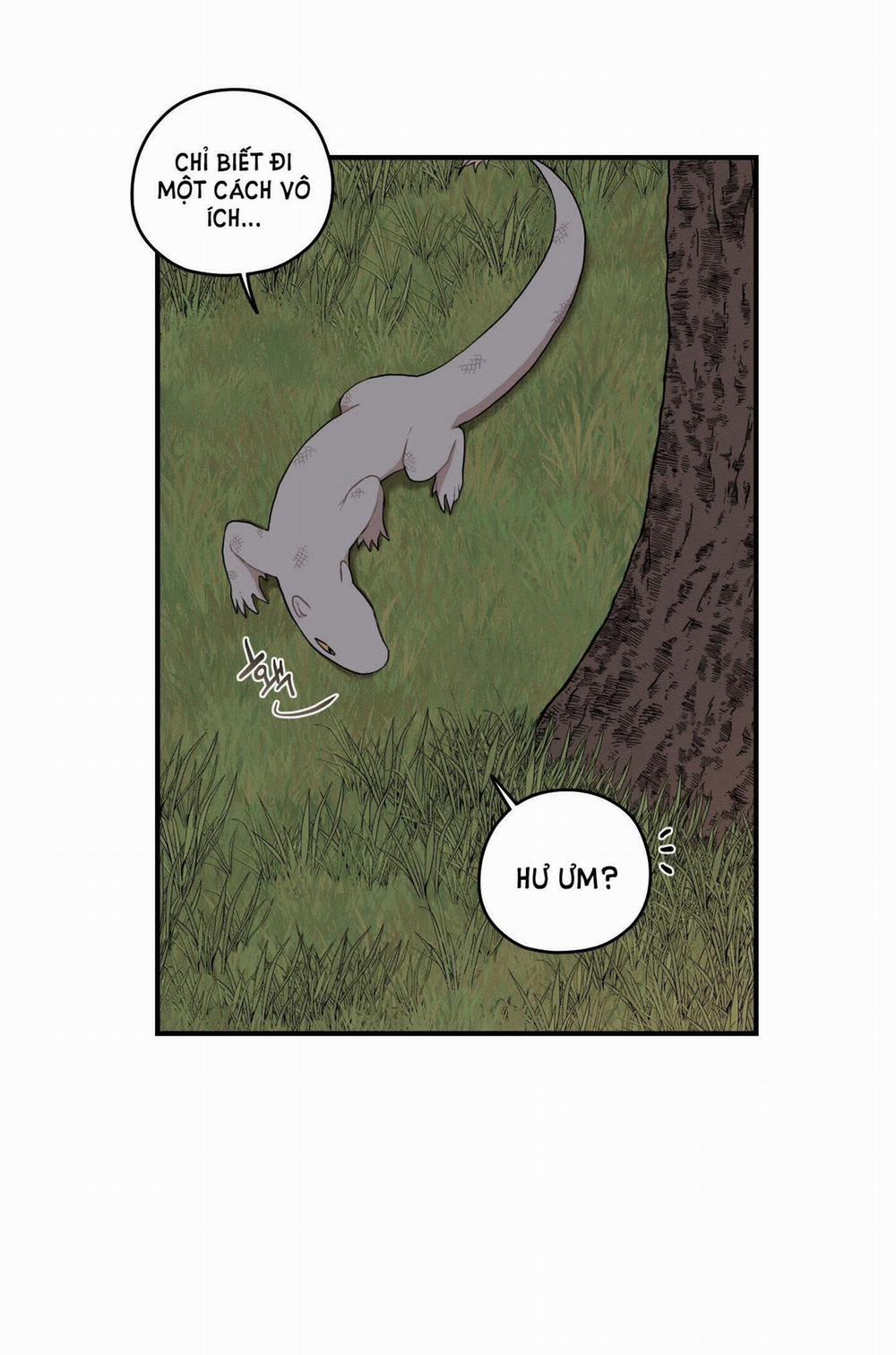 Dưới Tán Hoa Liên Kiều 29.1 trang 16