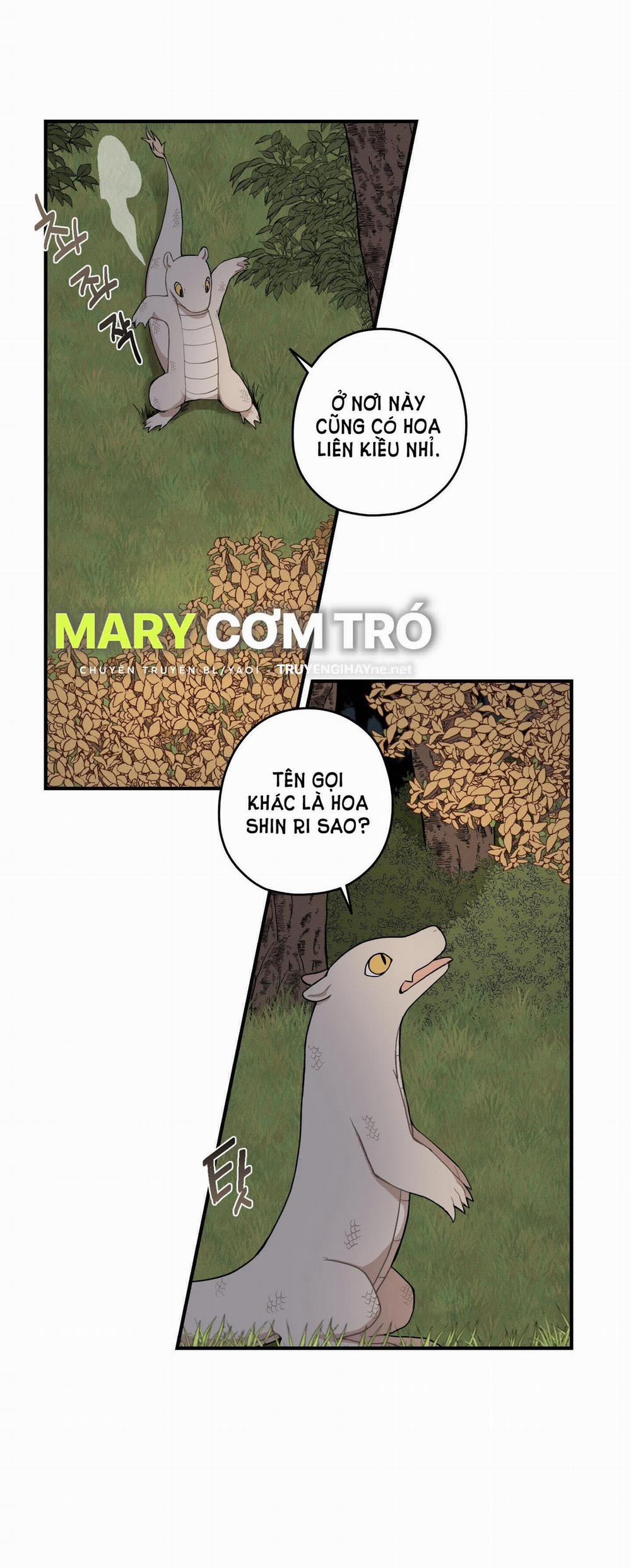 Dưới Tán Hoa Liên Kiều 29.1 trang 18