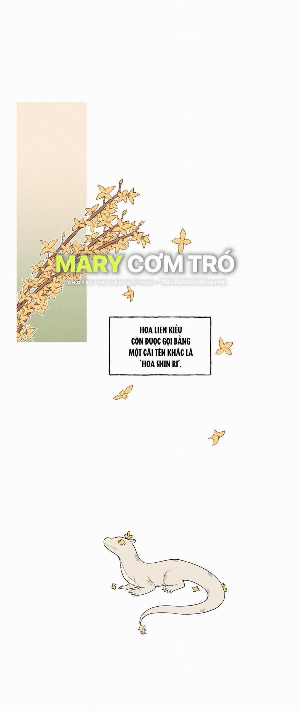 Dưới Tán Hoa Liên Kiều 29.1 trang 2