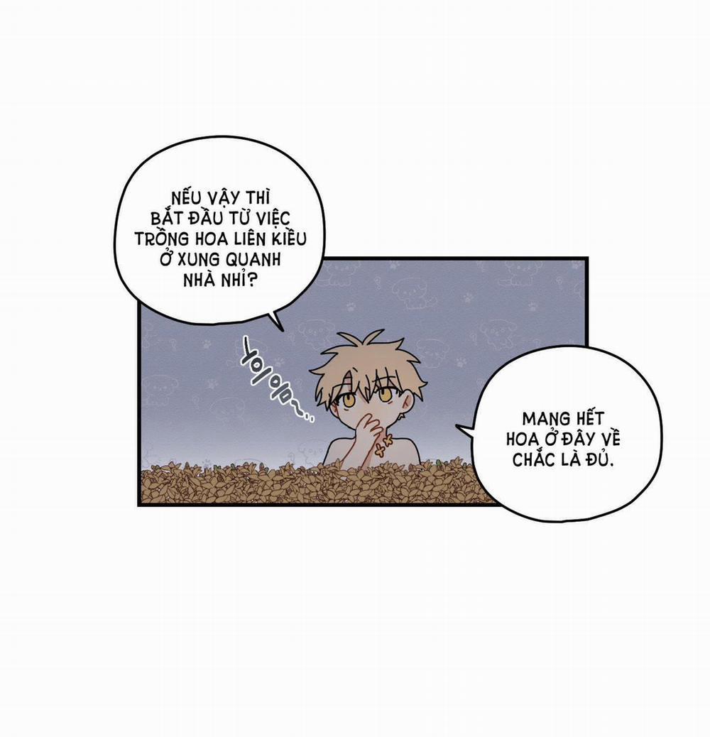 Dưới Tán Hoa Liên Kiều 29.1 trang 22