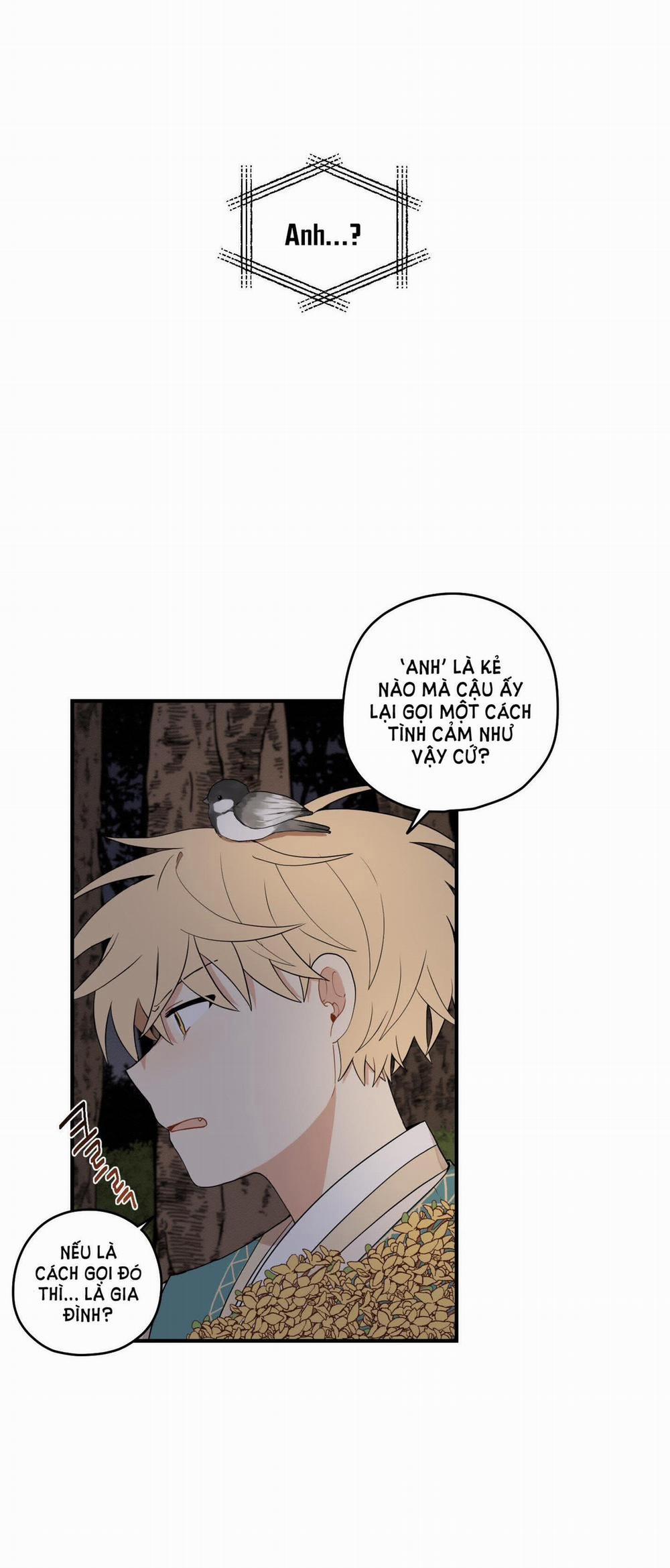 Dưới Tán Hoa Liên Kiều 29.1 trang 29