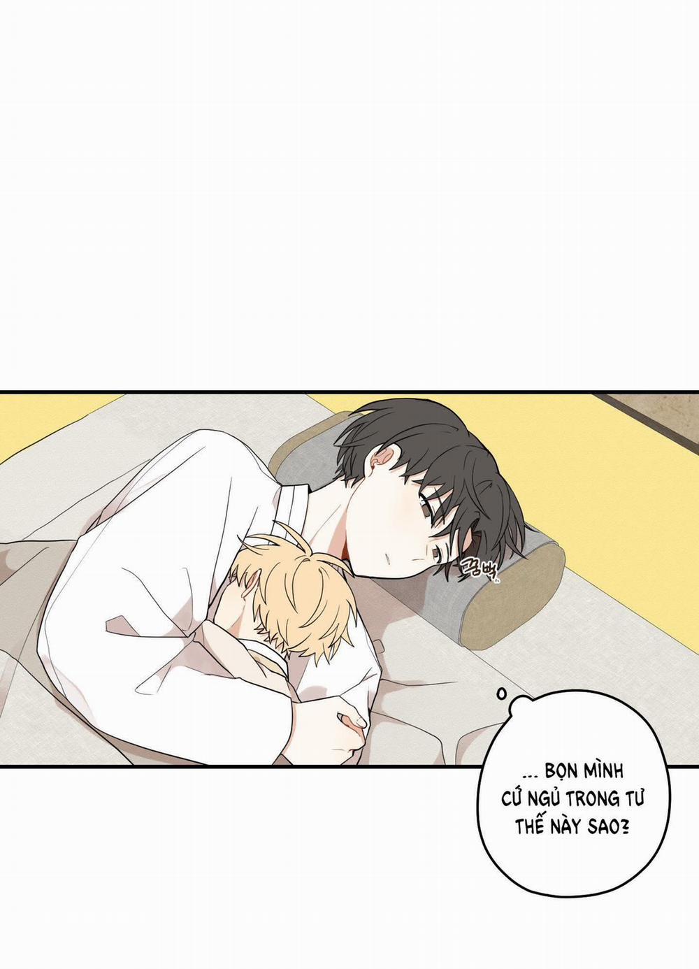 Dưới Tán Hoa Liên Kiều 29.1 trang 37