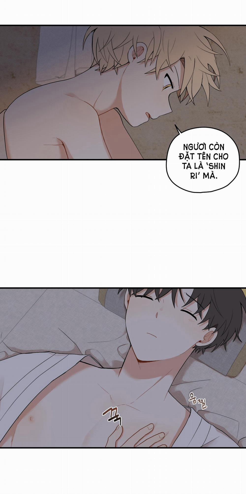 Dưới Tán Hoa Liên Kiều 29.1 trang 8