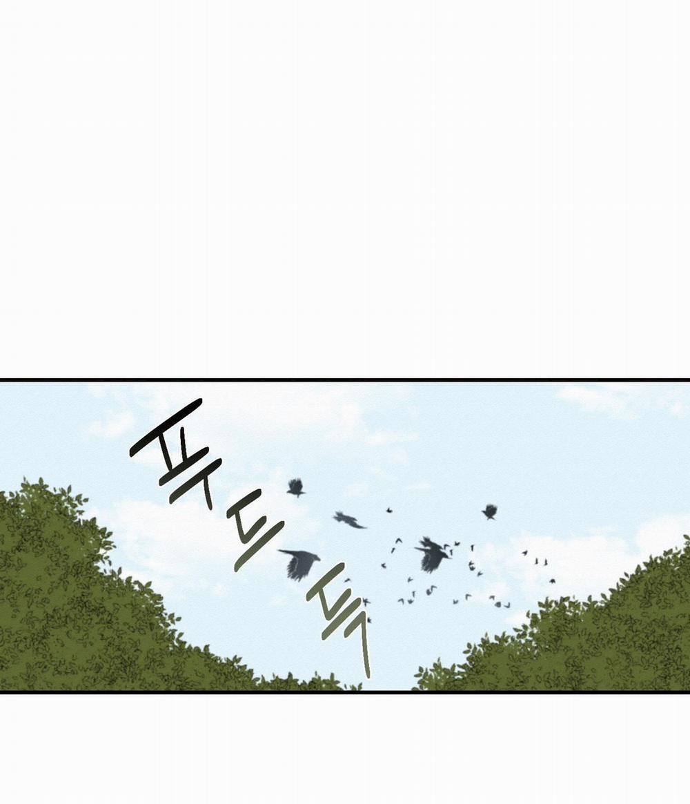 Dưới Tán Hoa Liên Kiều 29.2 trang 21