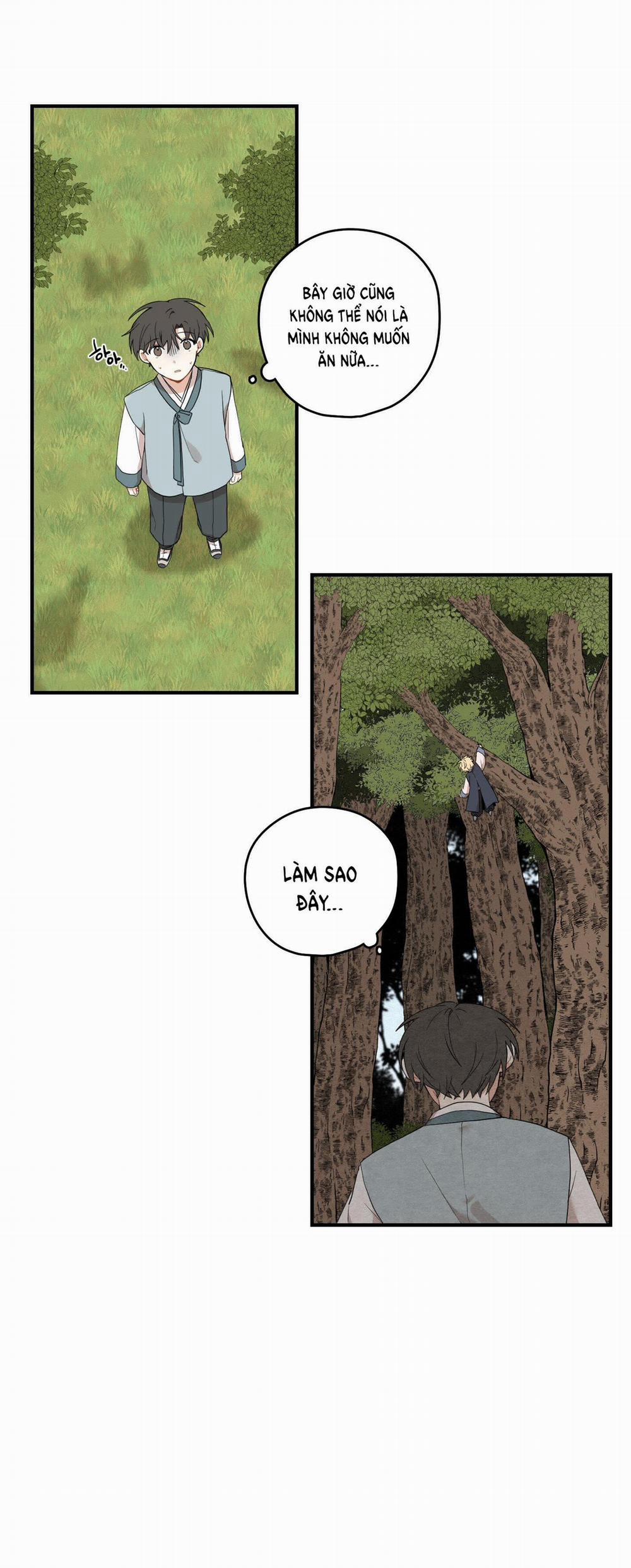 Dưới Tán Hoa Liên Kiều 29.2 trang 22