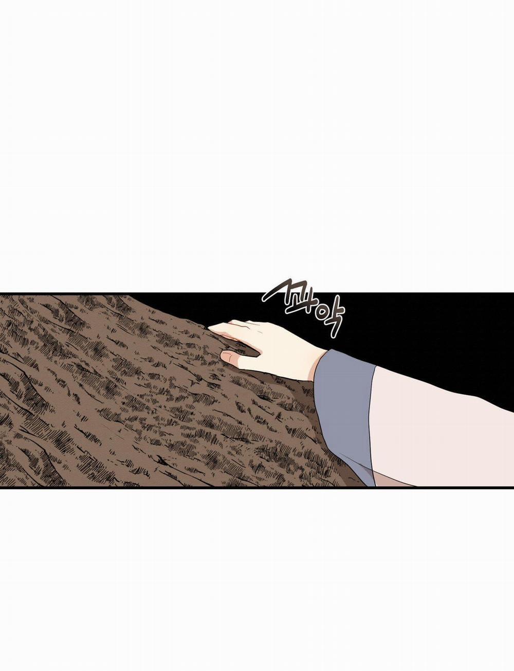 Dưới Tán Hoa Liên Kiều 29.2 trang 23