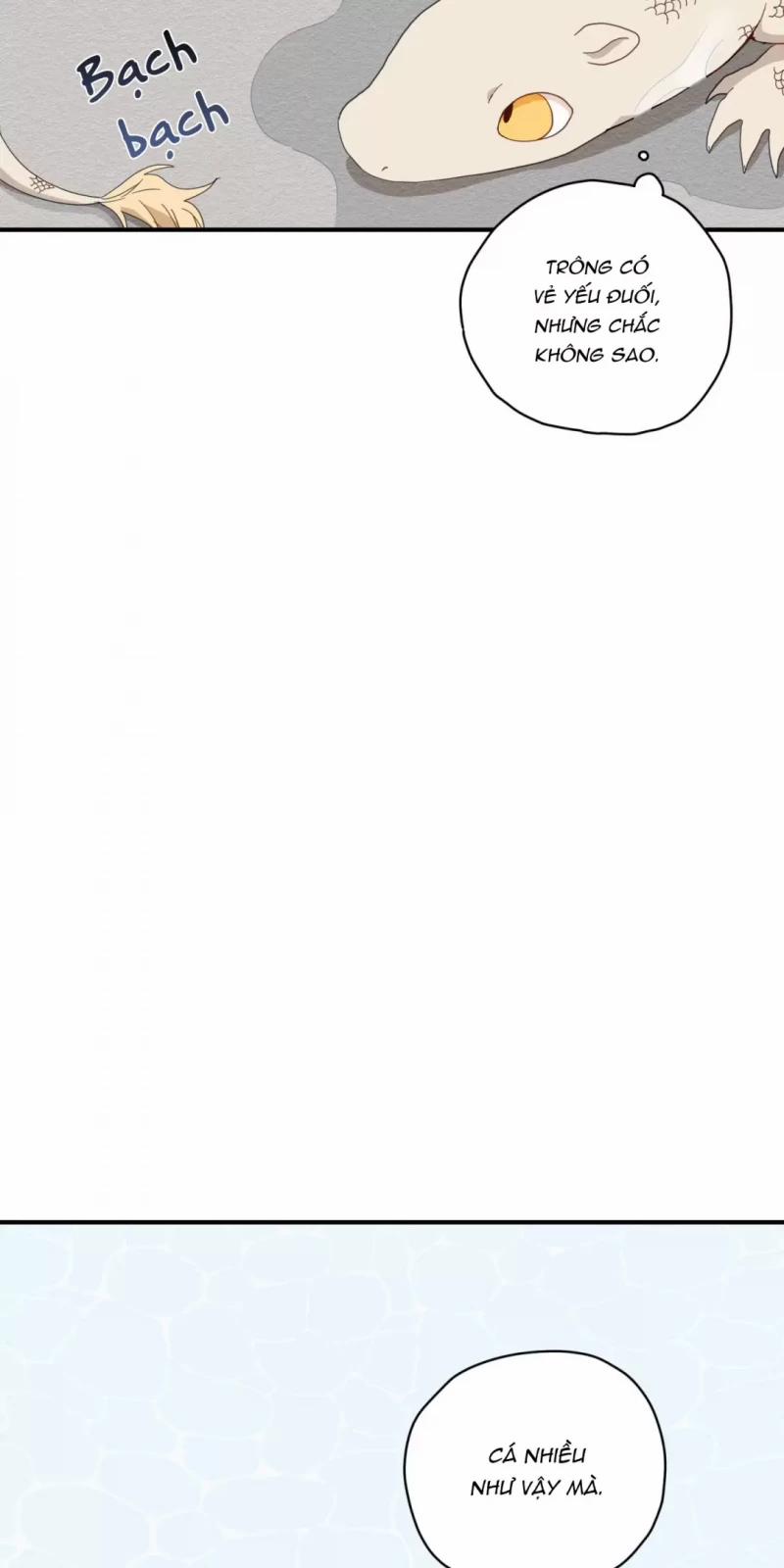 Dưới Tán Hoa Liên Kiều 3.5 trang 11