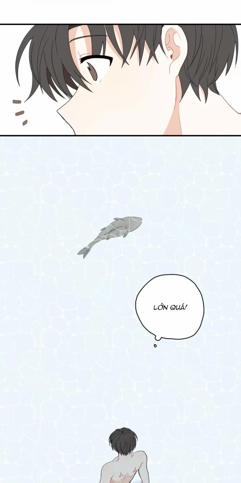 Dưới Tán Hoa Liên Kiều 3.5 trang 14