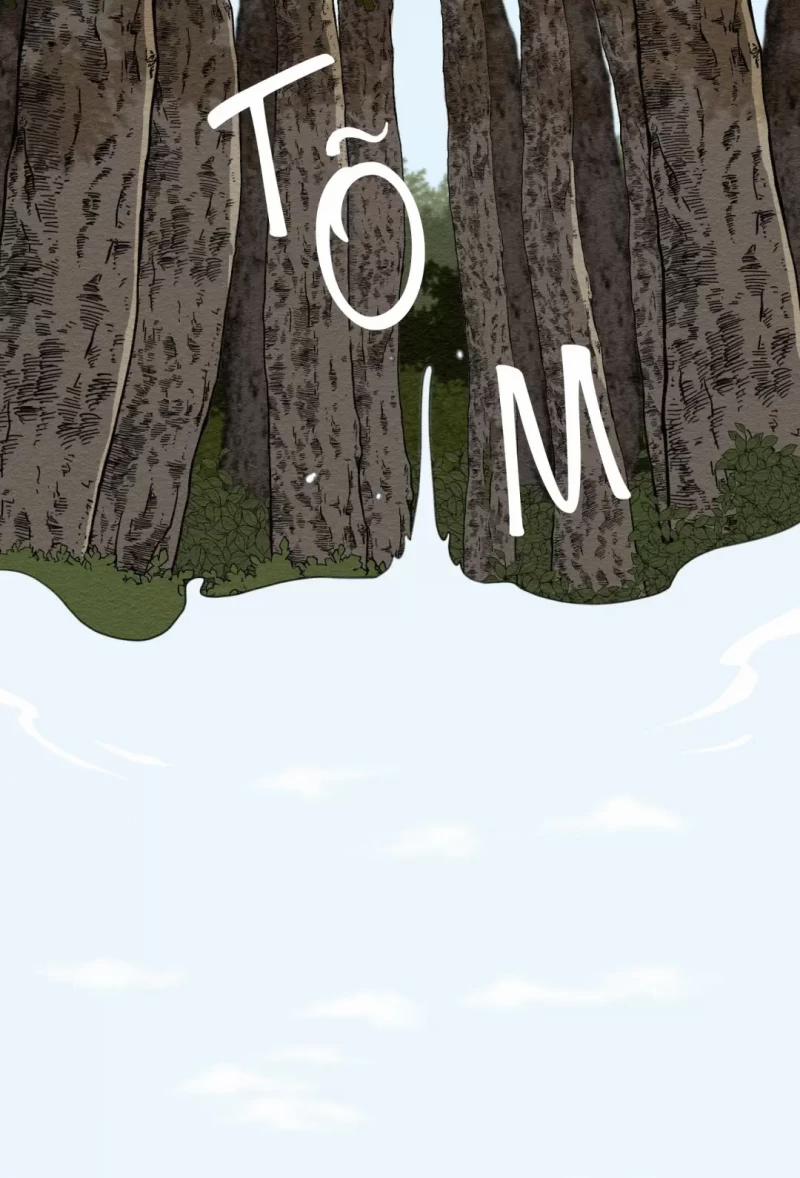 Dưới Tán Hoa Liên Kiều 3.5 trang 19