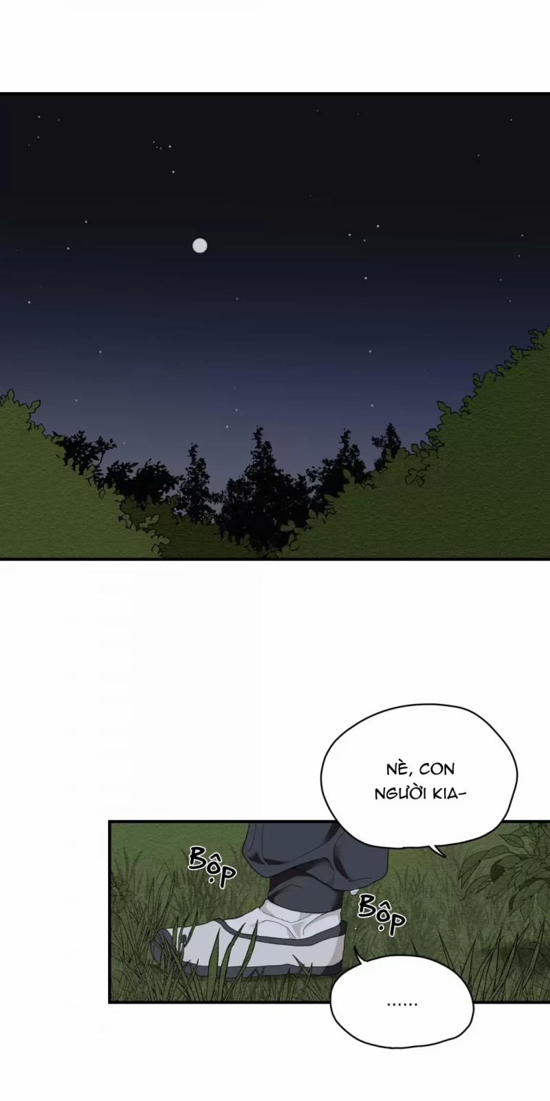 Dưới Tán Hoa Liên Kiều 3 trang 0