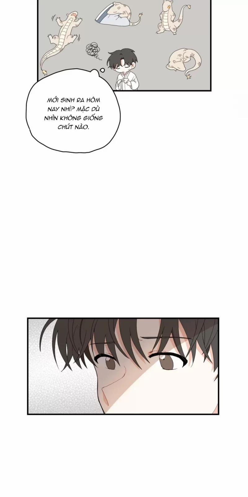 Dưới Tán Hoa Liên Kiều 3 trang 20