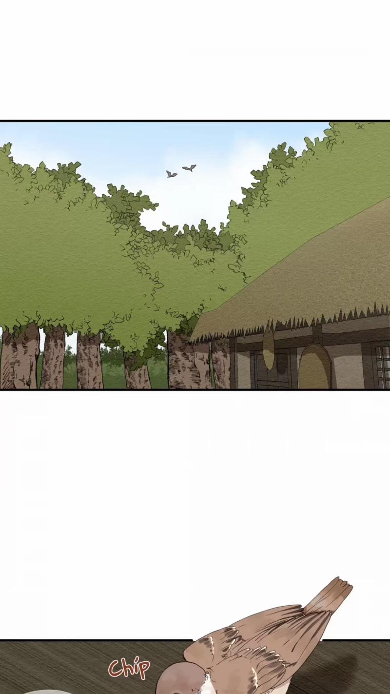 Dưới Tán Hoa Liên Kiều 3 trang 24