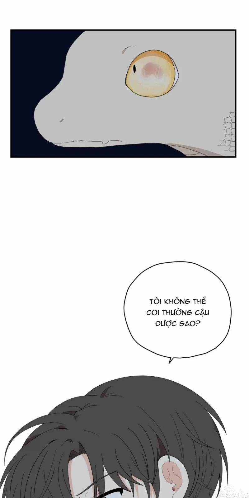 Dưới Tán Hoa Liên Kiều 3 trang 9