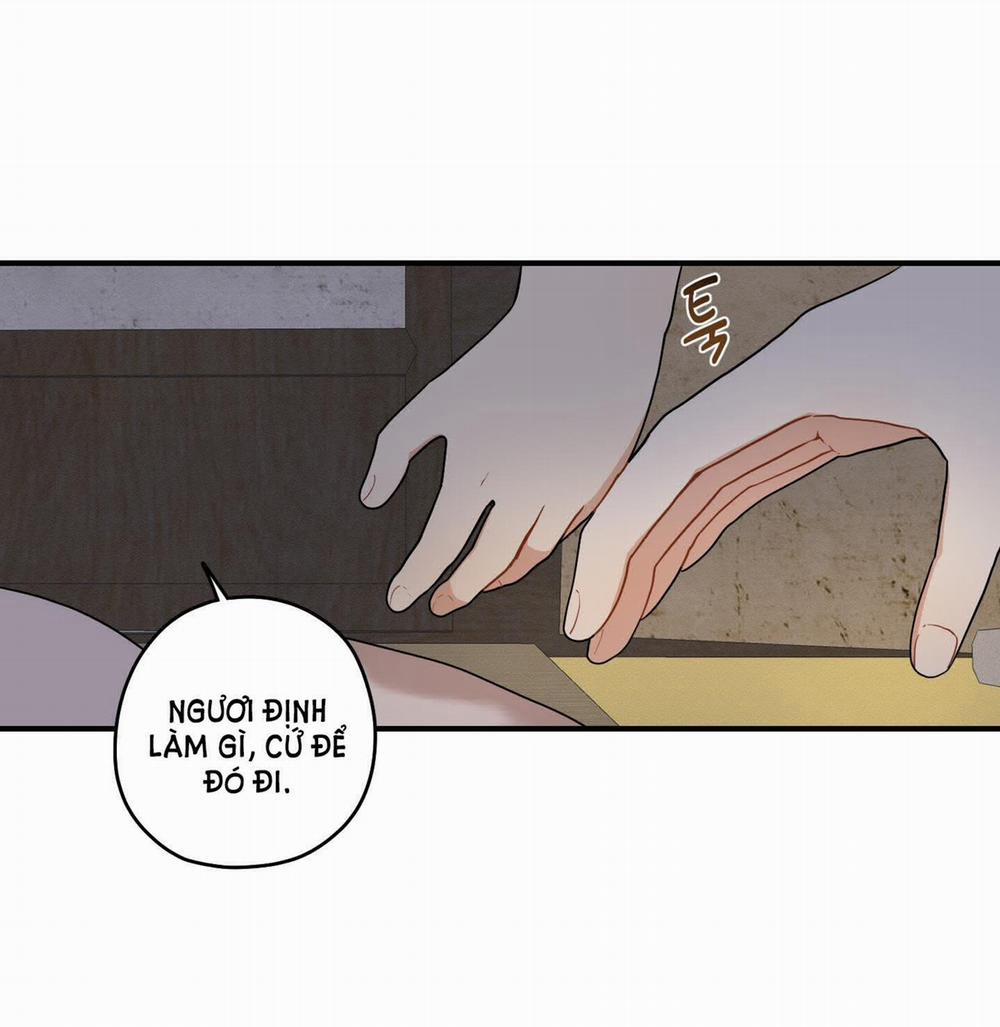 Dưới Tán Hoa Liên Kiều 31.1 trang 15